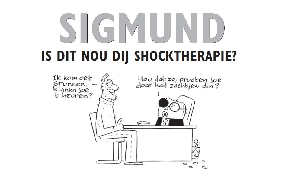 Sigmund in het Gronings - Image 3